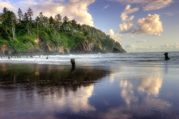 _12426 REJECTION ROCK jpeg