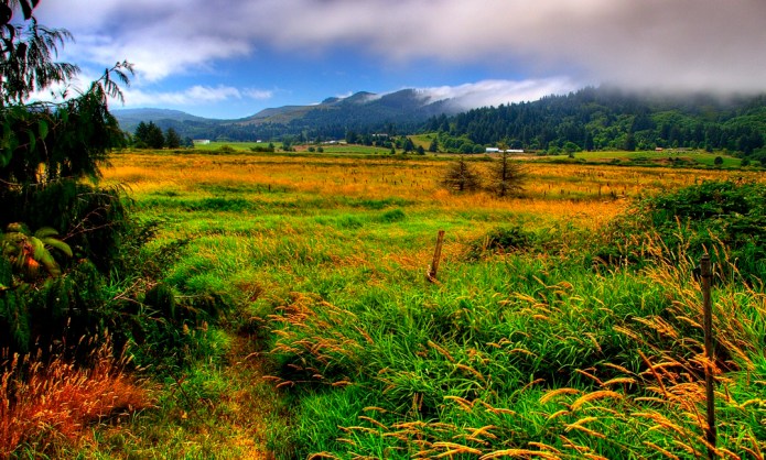 _20130805_19710_BOBBY WOODS YARD
