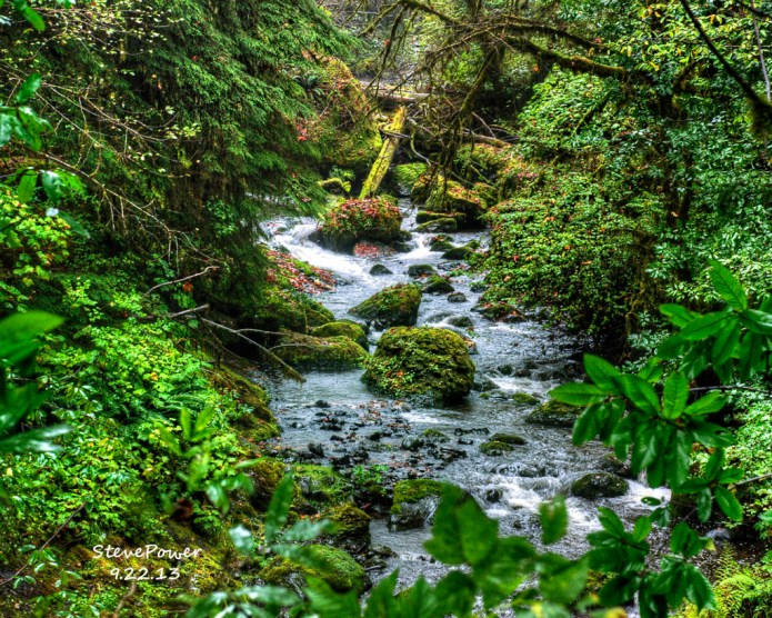 _20130922_20976_UPPER DRIFT CREEK 1