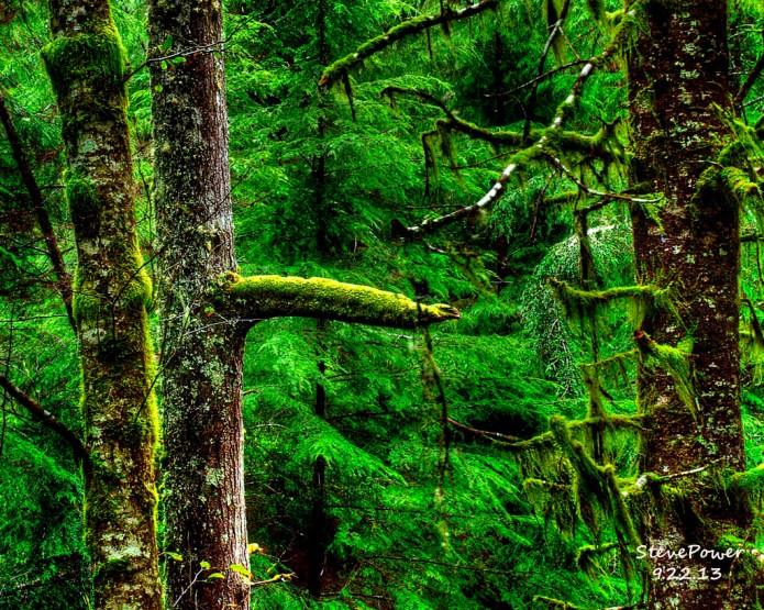 _20130922_20987_ THE PERCH