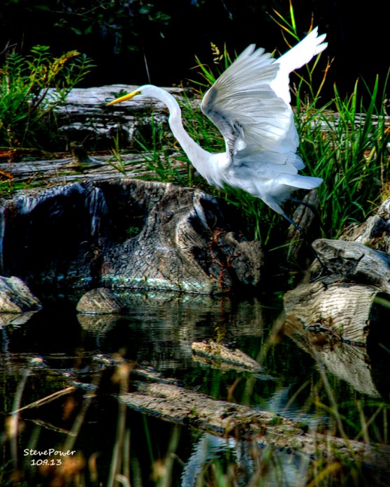 _20131009_21535_EGRET 1