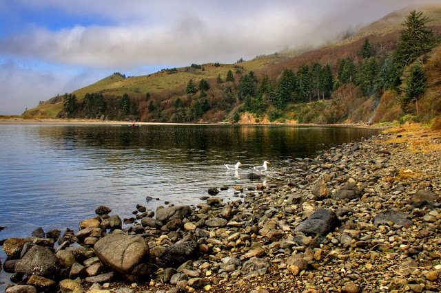 _20131023_22075_CASCADE HEAD 1