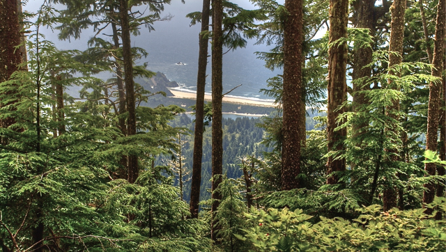 cascade-head-from-inside-out-steve-power