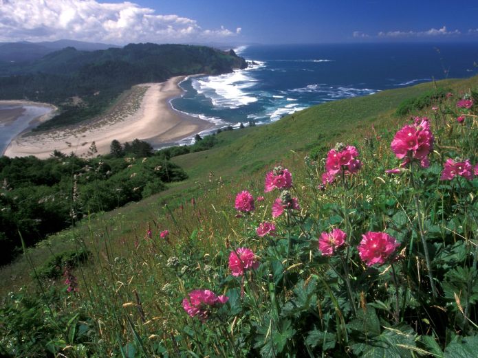 Cascade-Head-Oregon-pictures