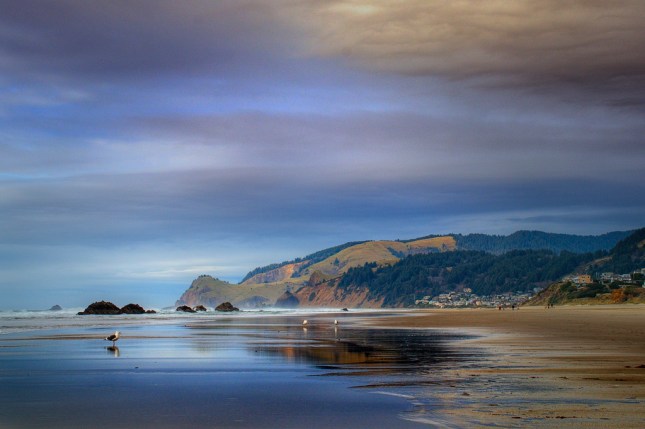 _20131126_23384_CASCADE HEAD 2