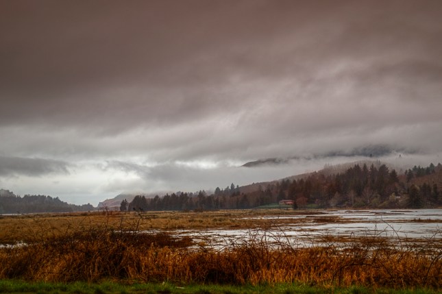 _20140227_27089_SALMON RIVER ESTUARY 2
